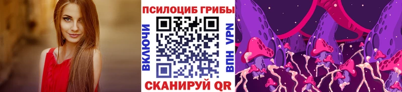 Галлюциногенные грибы Psilocybine cubensis  Купить  Харовск 